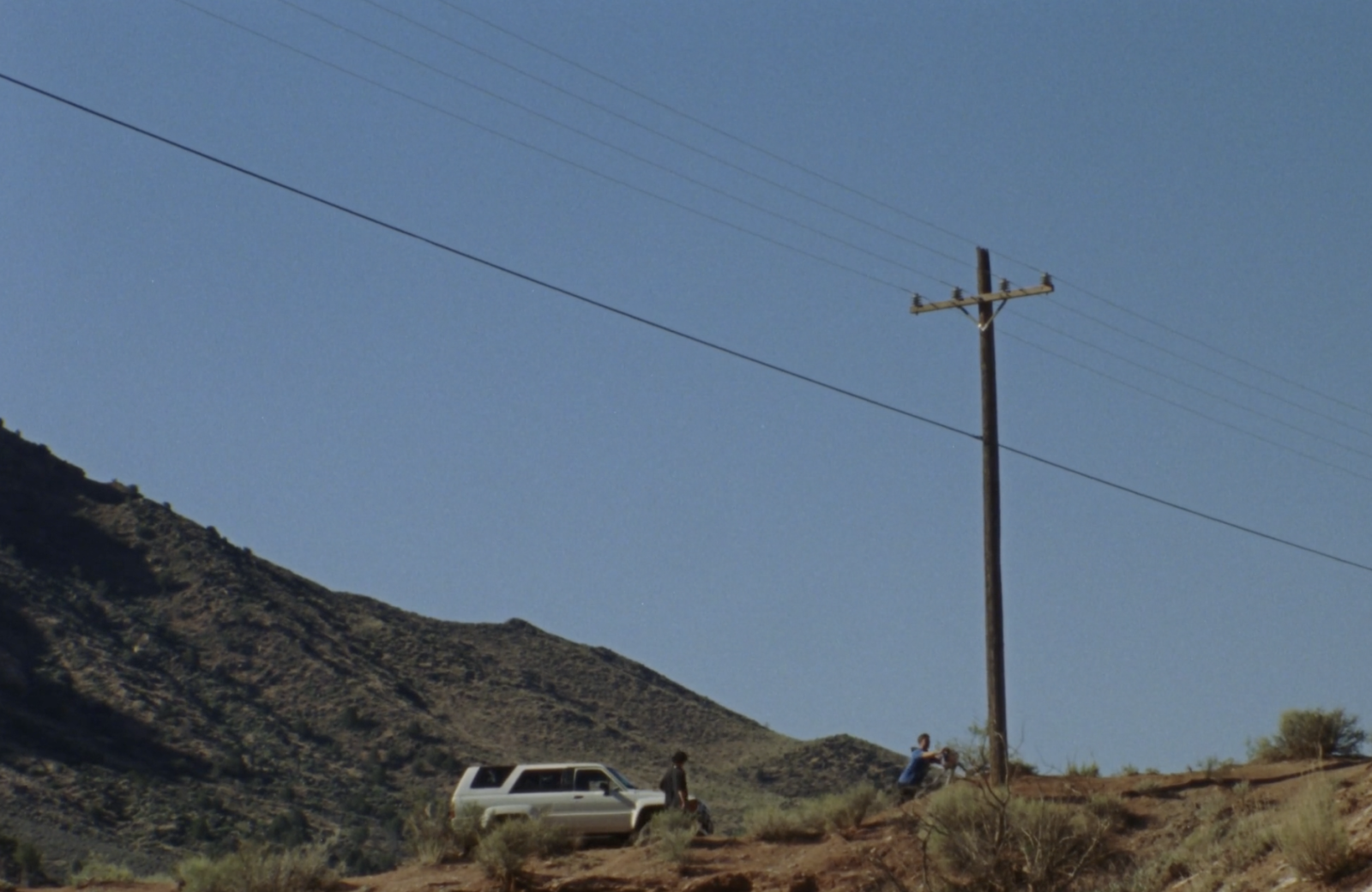 Desert Bugs